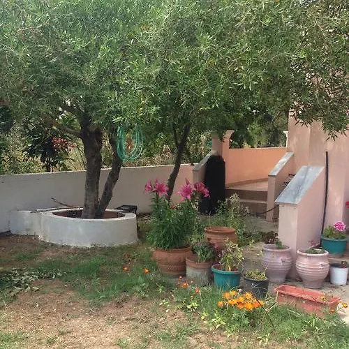 Zenap אגיוס גיורגיוס